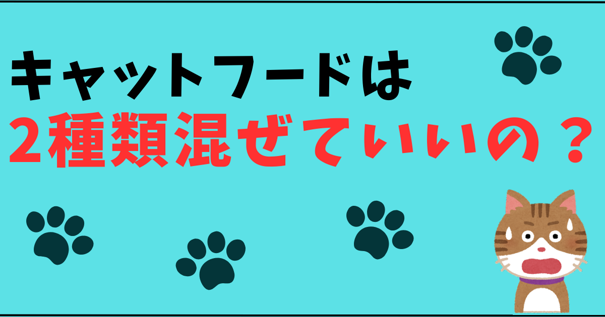 猫餌のカルカンパウチは種類が多すぎ!買うべきおすすめの商品3選 - キャットフードの神様