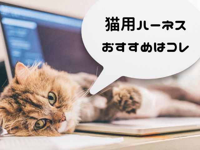 猫用ハーネスおすすめはコレ