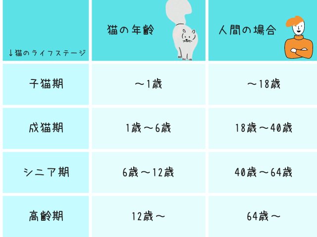 猫のライフステージ分類と人間の年齢の対応表